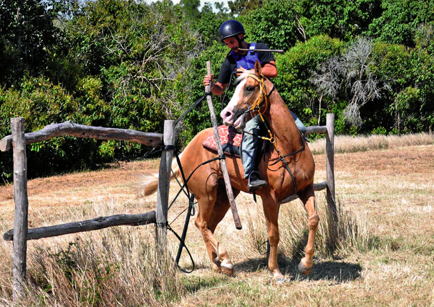Il fallait aux cavaliers lors de cette épreuve chronométrée du parcours du stockman se mesurer à douze obstacles, comme ici une porte à ouvrir puis à fermer.