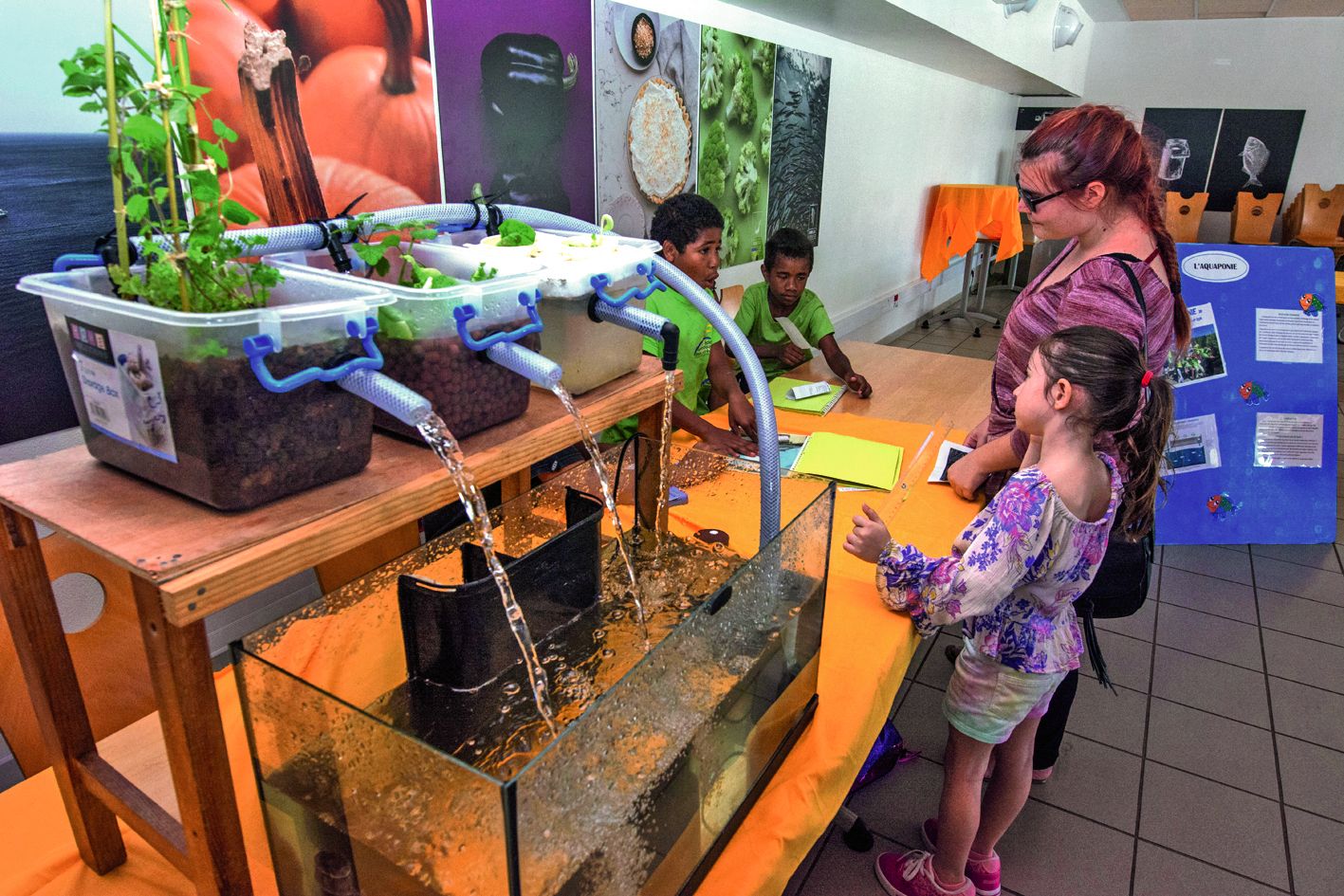 Les poissons peuvent-ils cultiver des fraises ? En tout cas, ils peuvent aider, comme le montre le système d’aquaponie mis en place par les élèves de l’école catholique de Dumbéa-sur-mer. Les déjections de deux plécos permettent de nourrir des pousses de fraises, tomates ou oignons.