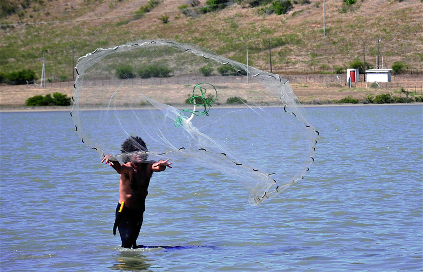L’épervier a également été utilisé pour attraper les poissons.