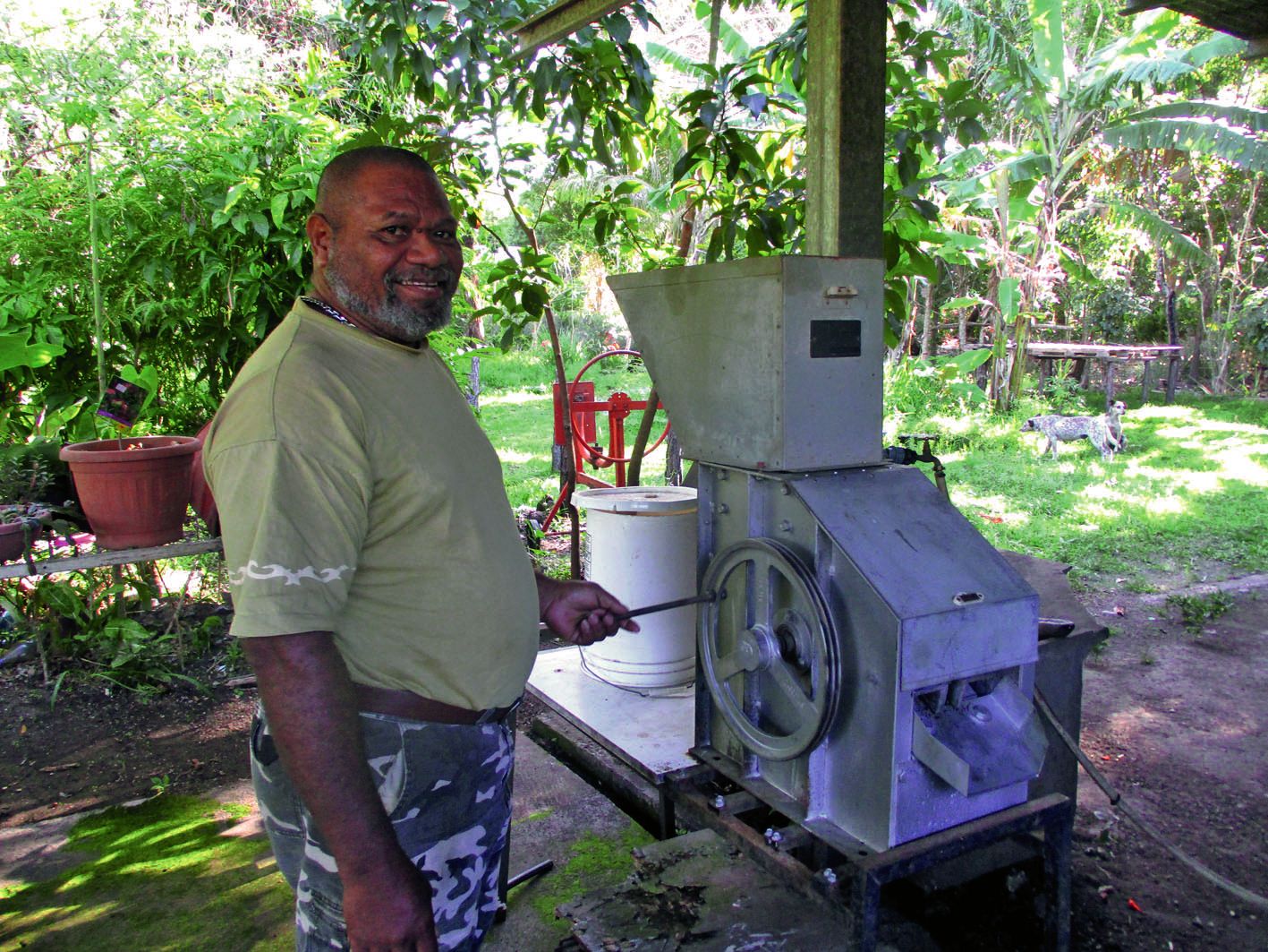 Afin de retirer le grain de la cerise, le producteur utilise un dépulpeur à café manuel.