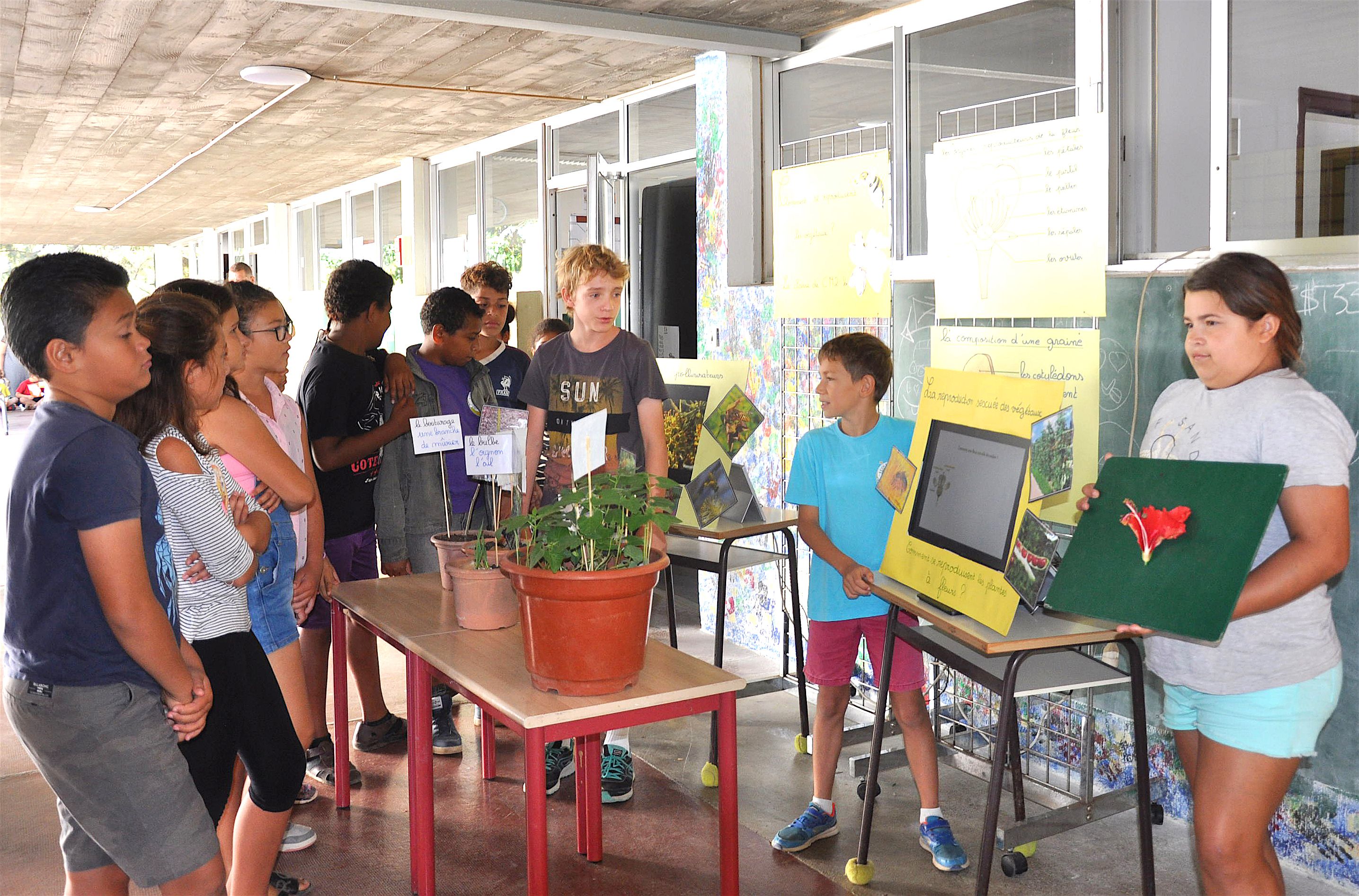 Les élèves de CM2 B ont expliqué aux visiteurs et à leurs camarades des autres classes comment se reproduisent les végétaux à partir des plantations réalisées en classe. Ils ont fait appel à différentes techniques : bouturages, tubercules et marcottages.