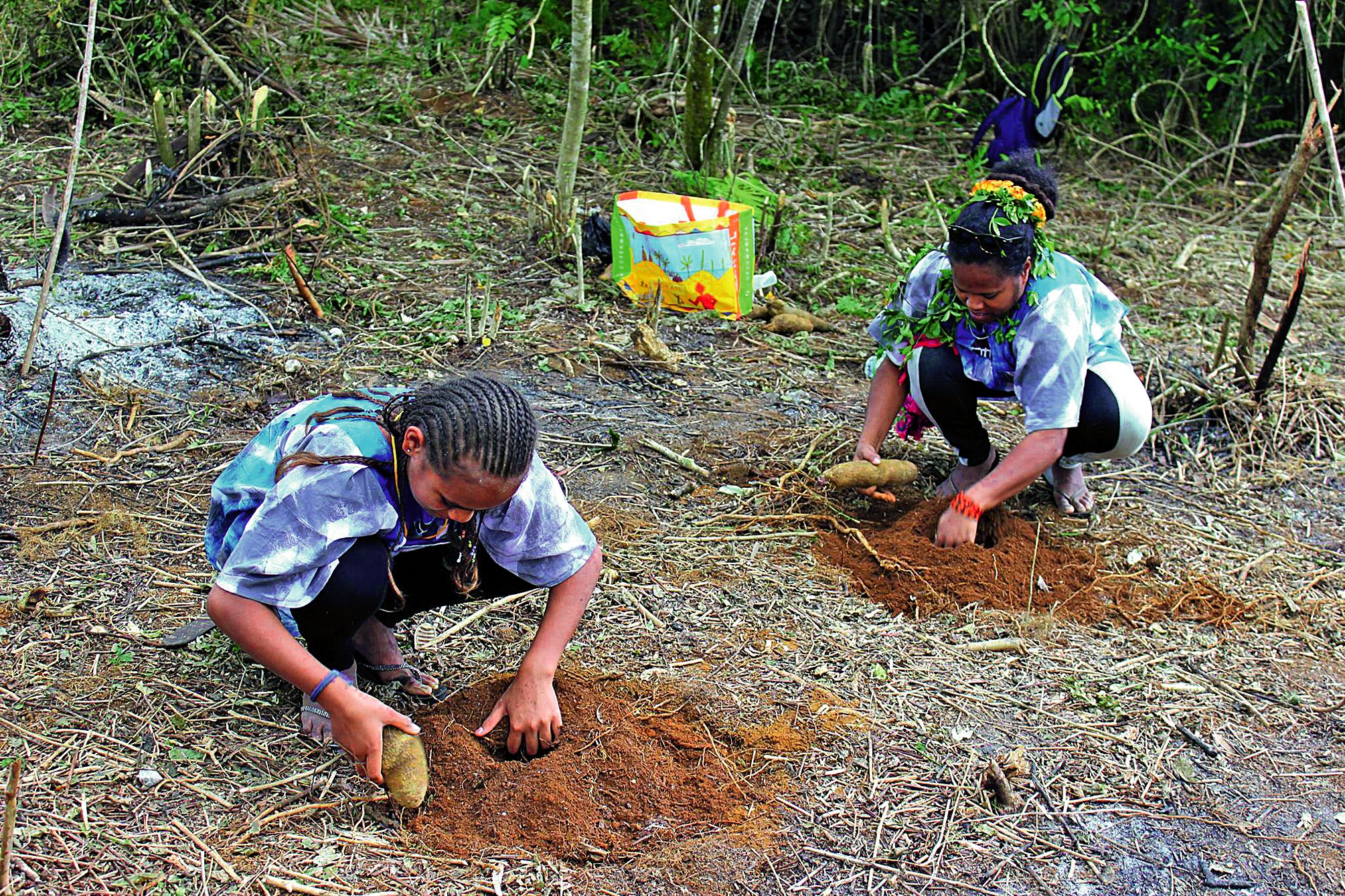 Les enfants ont découvert pour certains la réalisation des différentes étapes d’un champ d’ignames. 