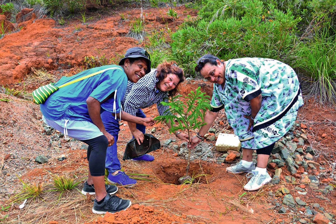 Henriette Hmae, maire de Poum, et une adjointe de la mairie de Dumbéa ont planté un araucaria endémique de Tiébaghi.