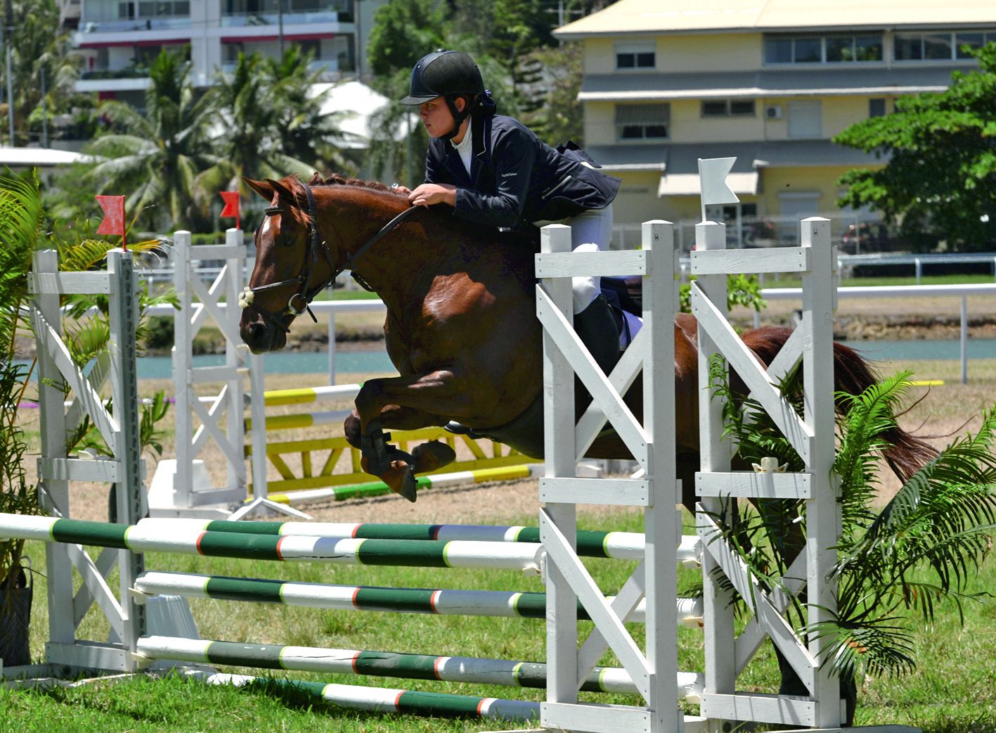La Semaine du cheval, un rendez-vous incontournable | Les Nouvelles ...