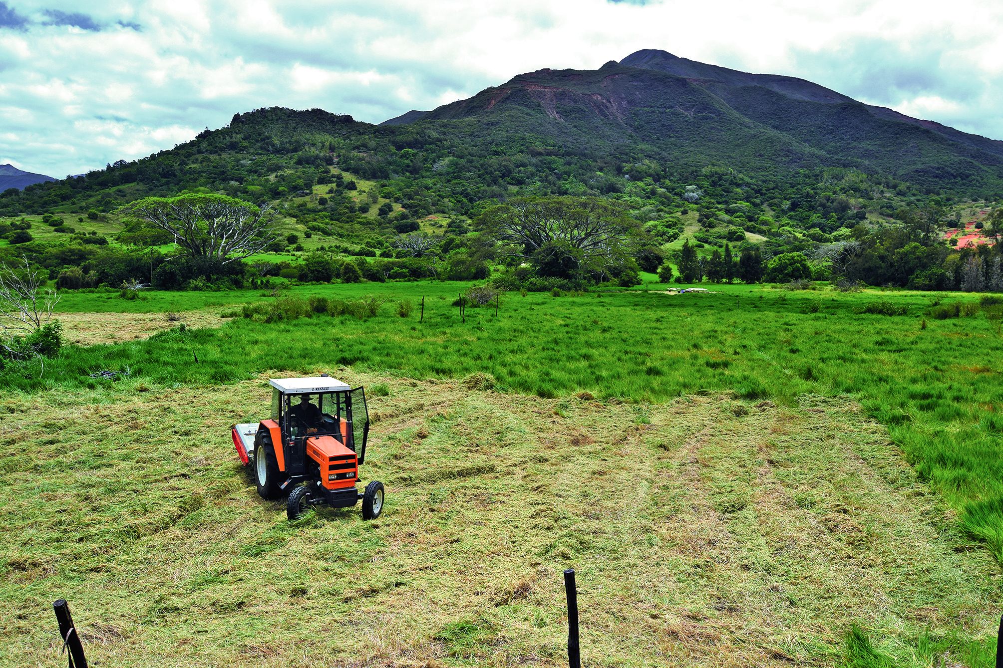 Un voisin leur a donné un coup de main pour créer un jardin/champs qui sera cultivé, dès aujourd’hui, selon  plusieurs techniques.