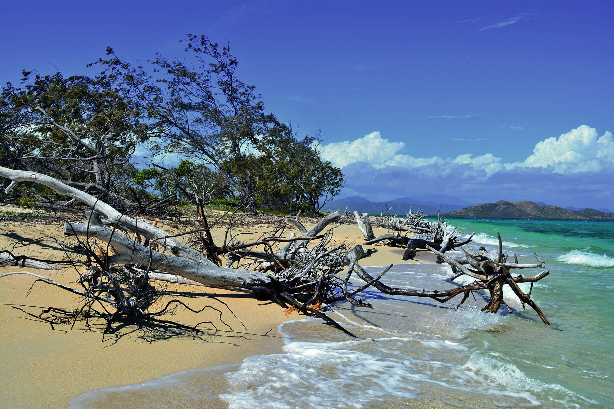 Lorsqu’elle existe encore, la plage côté récif de l’îlot Konduyo, est jonchée de troncs d’arbre, toujours plus nombreux à s’effondrer dans le lagon.