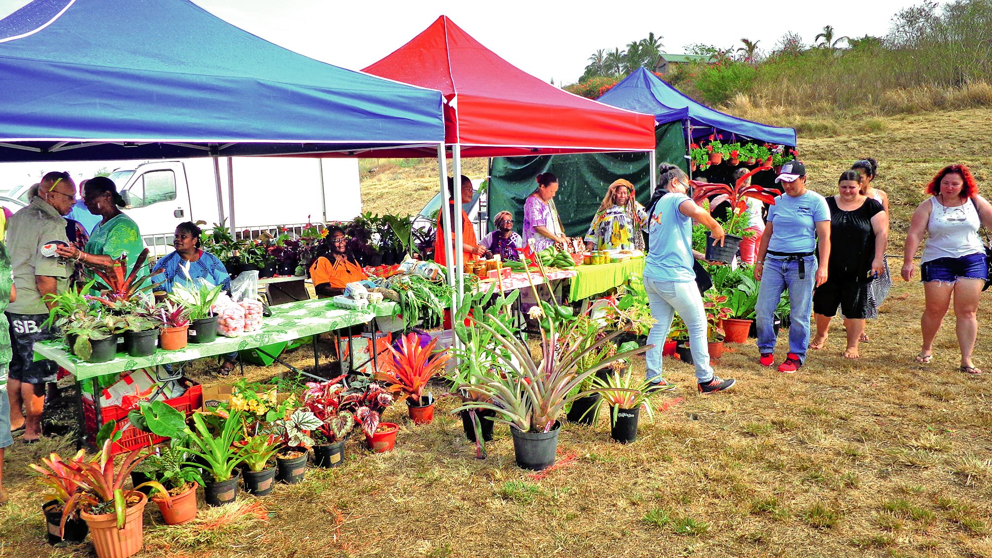 Le marché des producteurs locaux s’est tenu tout au long  de cette journée et a proposé de nombreux produits  de la terre et de la mer ainsi que de merveilleuses plantes.