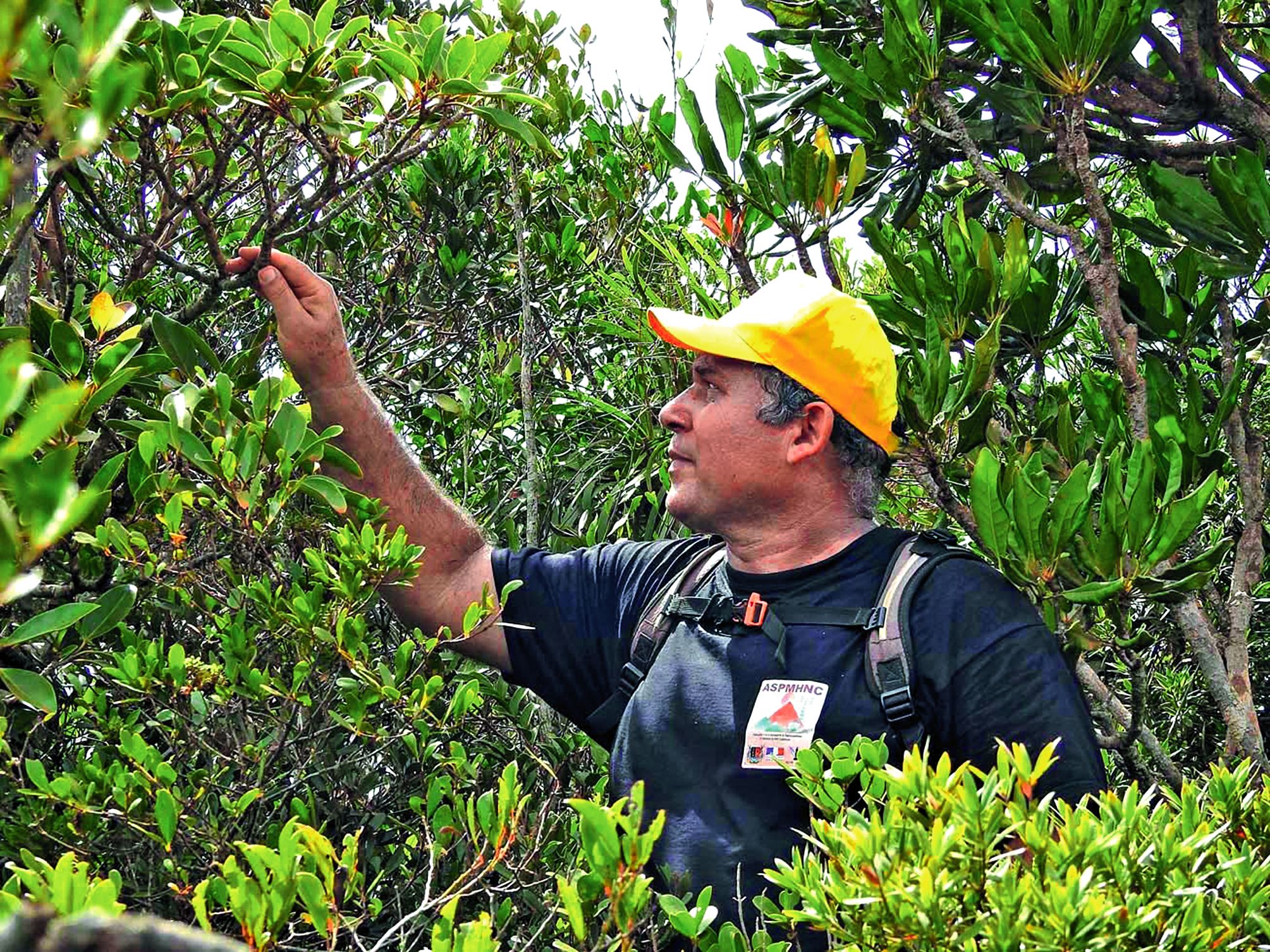 Dominique Fleurot a reçu le prix des Nickels de l’initiative pour son Livret de la flore de Tiébaghi. 