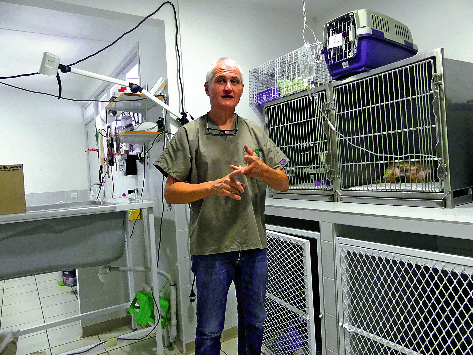 Pour Hervé Leroux, la règle est simple. « Il faut faire stériliser son animal dès six mois. » À droite, une de ses portées de chatons à l’adoption. Photo A.-C.P.