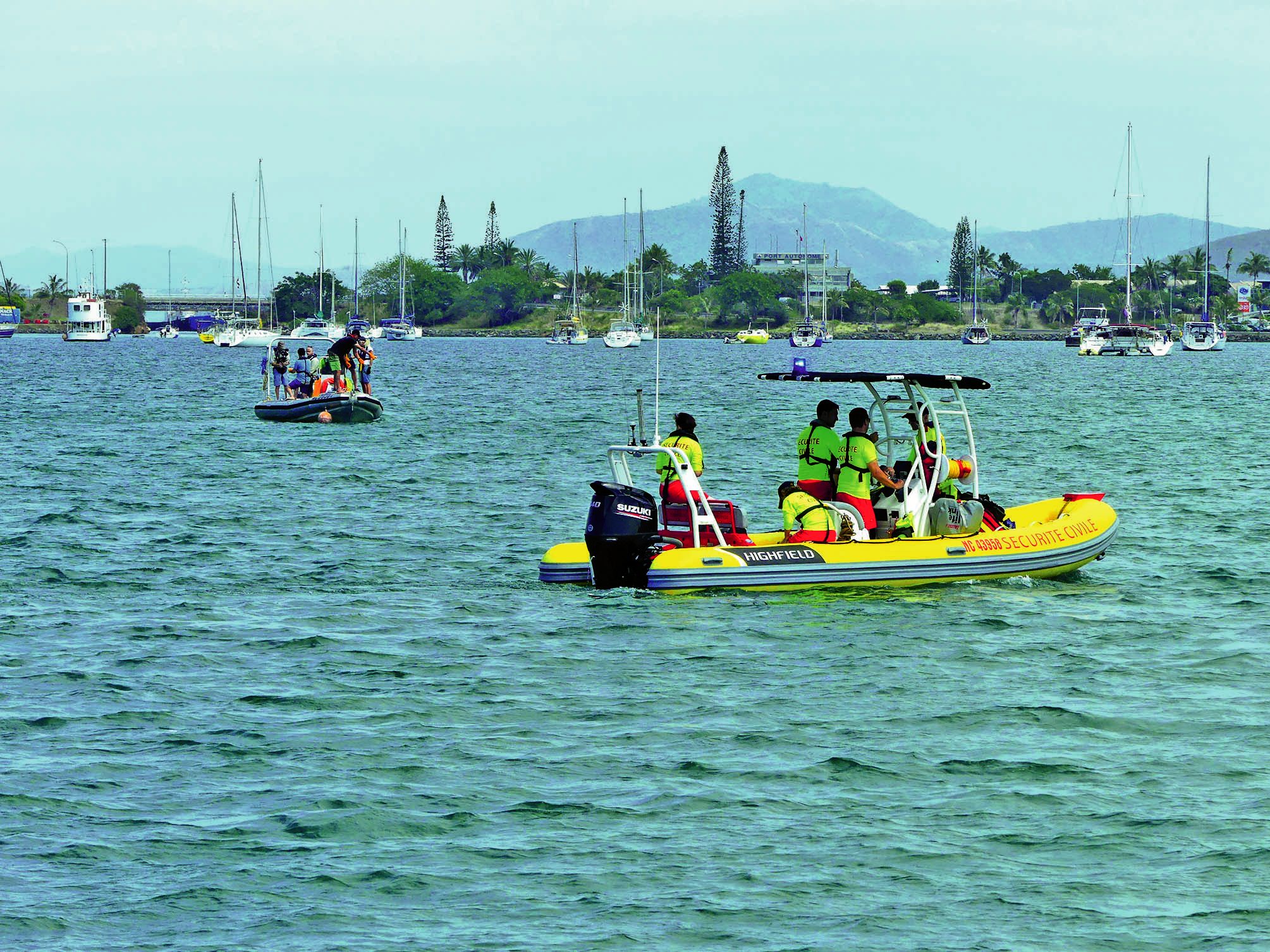 De lundi à vendredi, plusieurs embarcations ont été mobilisées pour capturer et badger des requins dans la petite et la grande rade. Photo G.R.
