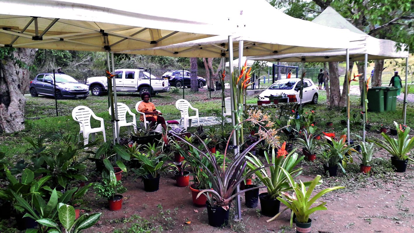 Les associations du marché ont proposé des plantes durant la journée de samedi.