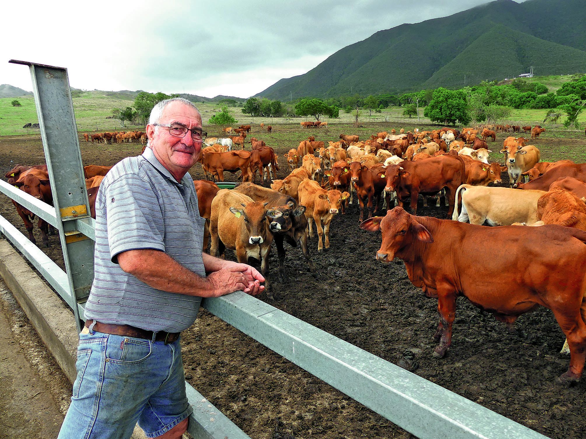 Jean-Michel Nagle, cinquième génération d’éleveurs à Poya veut « transmettre un outil moderne ». Photos Charlie Réné