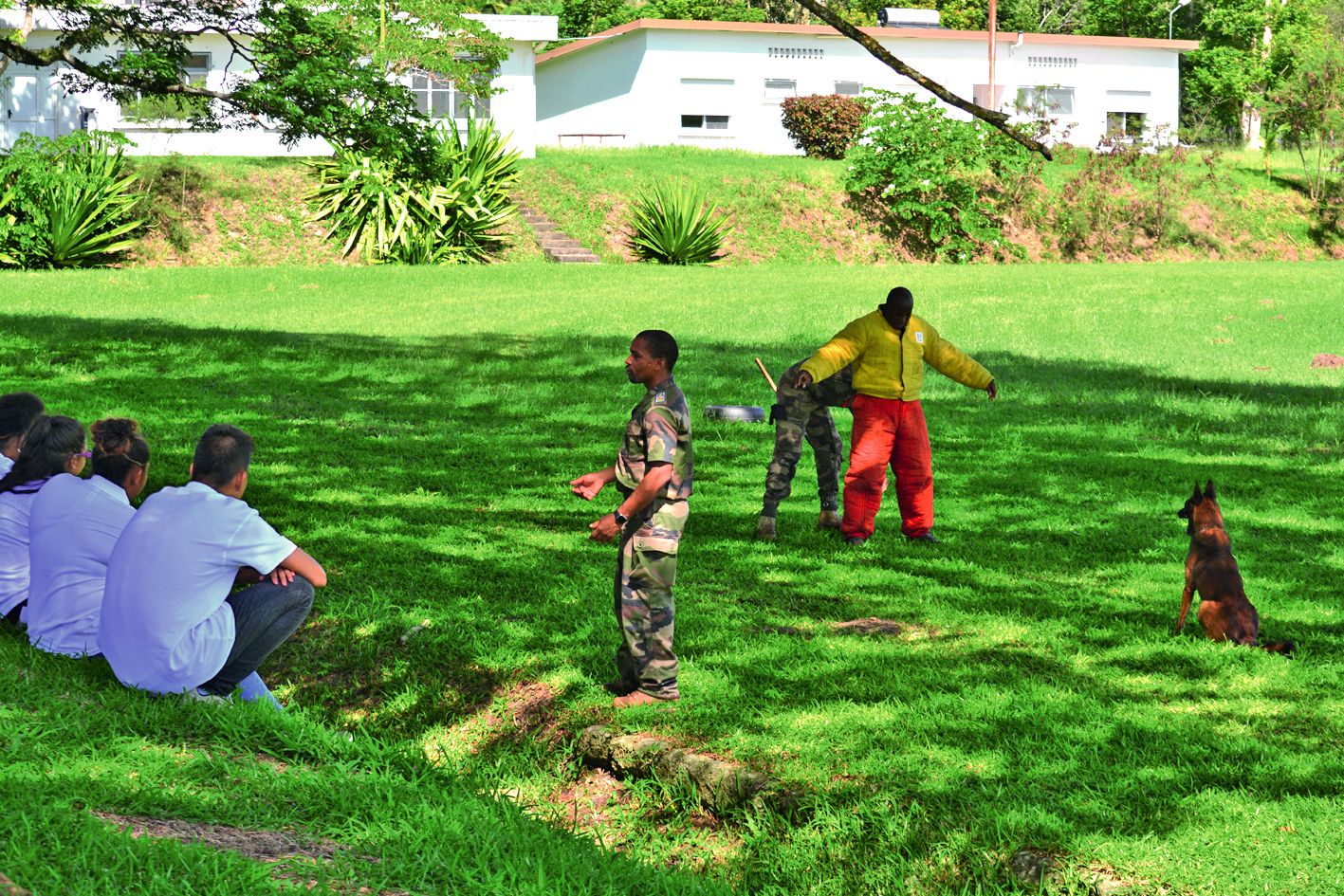 Les élèves ont eu droit à une démonstration d’obéissance, de mordant ou encore d’interpellation d’un intrus, par les chiens de l’équipe cynophile du camp. « C’est super ! Ces chiens militaires sont très obéissants, dissuasifs et très efficaces », a lancé 