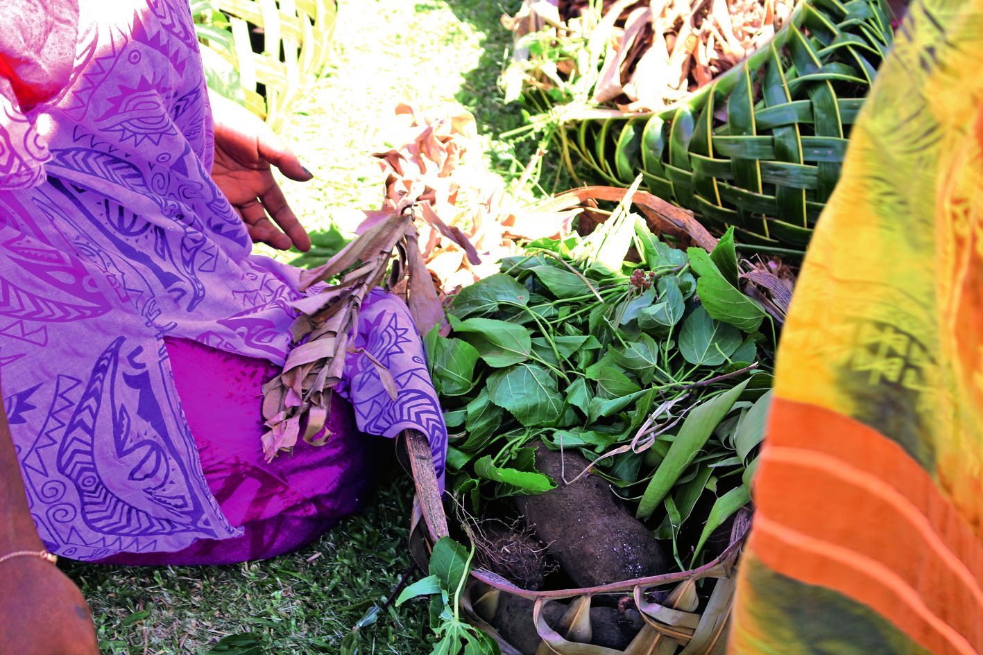 Chaque clan apporte quelques ignames à la chefferie. Au sein du clan, chaque famille qui le constitue a, auparavant, apporté sa contribution depuis les champs.