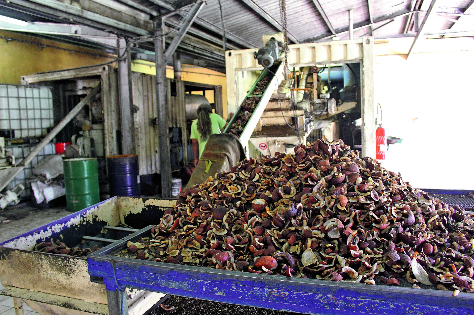 L’huile de coprah est avant tout destinée à la savonnerie de Wadrilla, mais aussi à deux parfumeurs de Nouméa et à l’usine Enercal d’Ouvéa. Photos S.M.