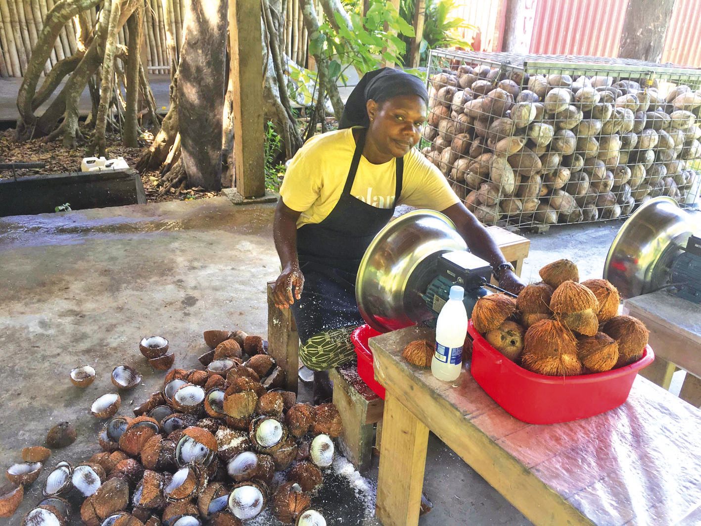 L’huile de coco devrait faire partie des produits exportés par le Vanuatu.
