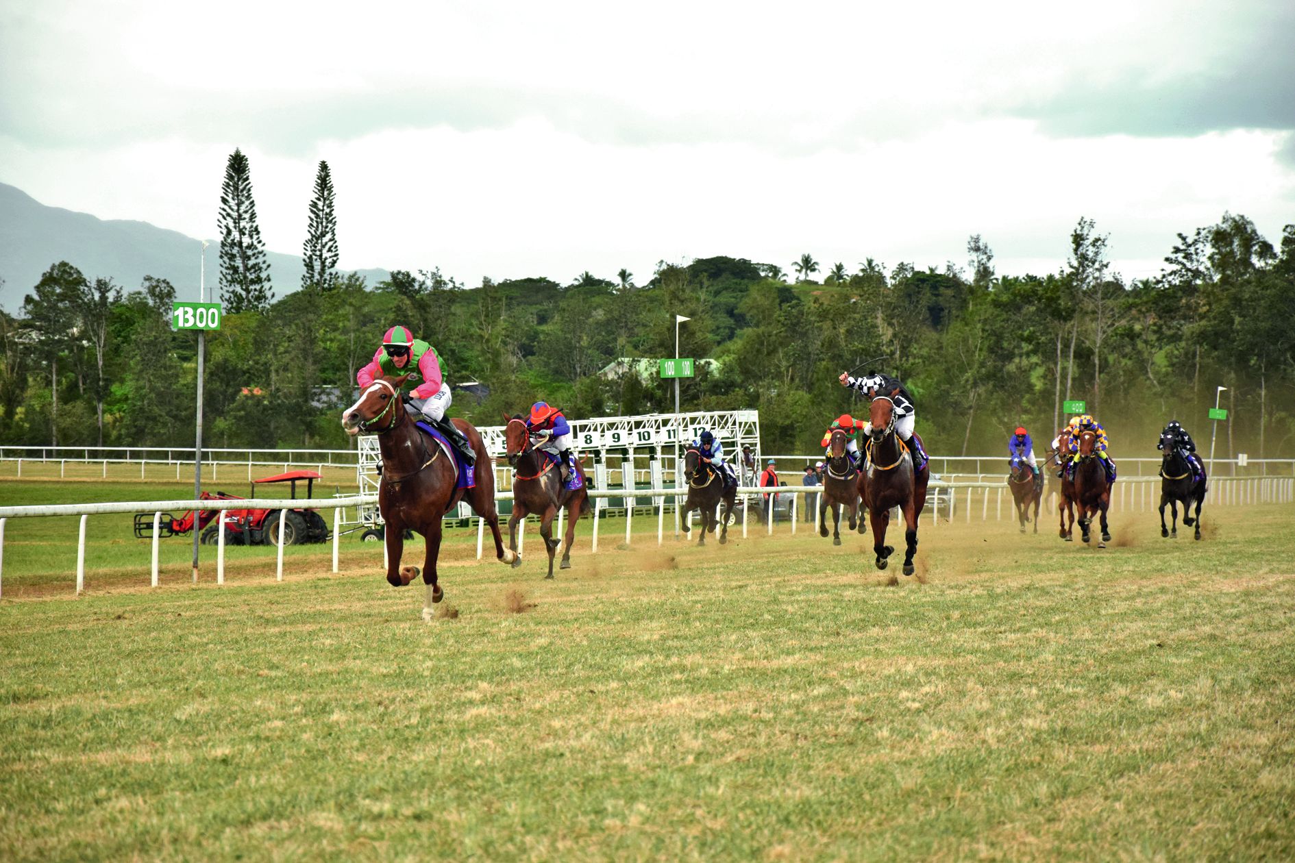 Jacques du Cap (à g.) a été le meilleur cheval de trois ans samedi à La Foa. Il signe sa deuxième victoire de la saison.