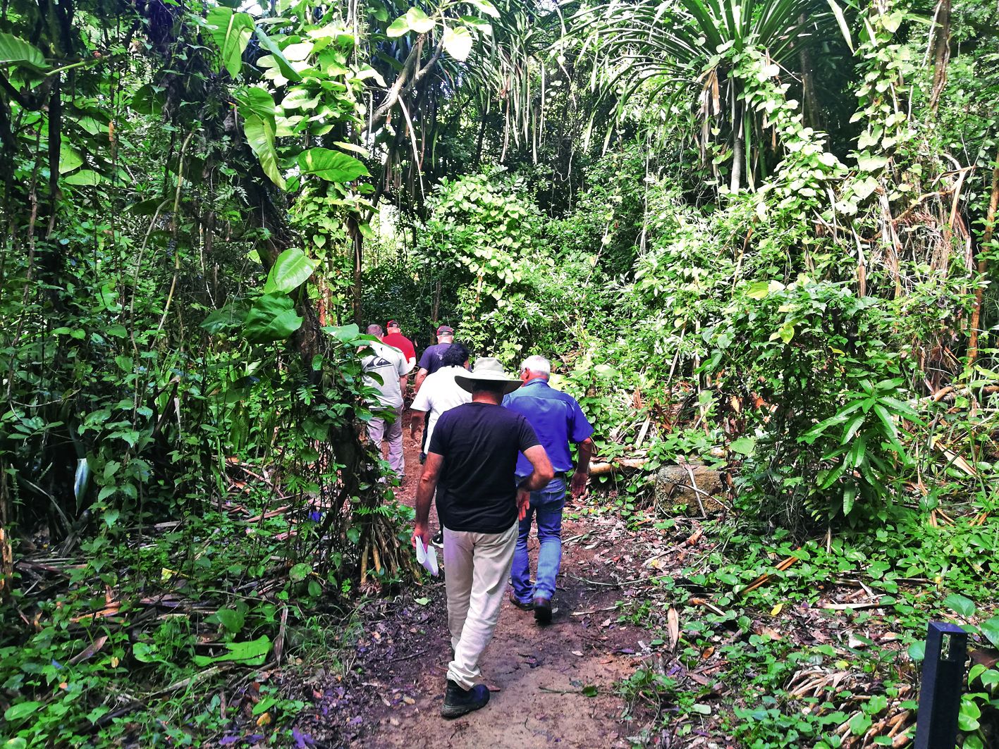 « C’est incroyable, on ne se croirait pas en pleine ville. »  Les promeneurs se plongeront dans une nature luxuriante.