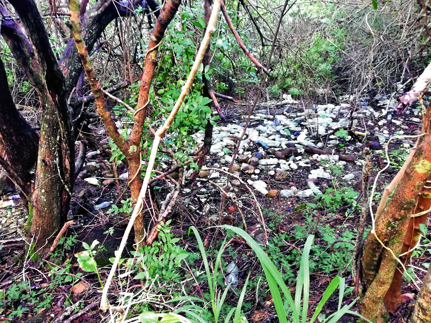 Des amas de déchets, amenés par la marée, ont été aperçus le long du parcours. Une opération de nettoyage est prévue avant l’ouverture officielle du sentier.