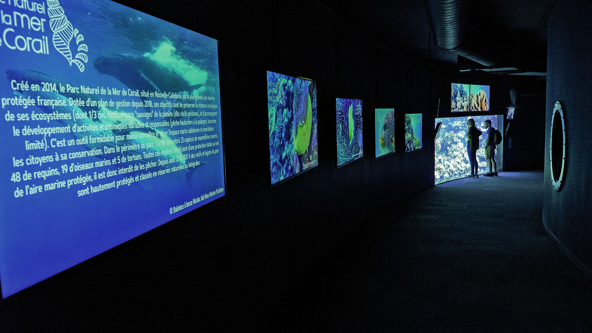 L’exposition est ouverte jusqu’au 30 juin à l’Aquarium de Paris.Photo ALP