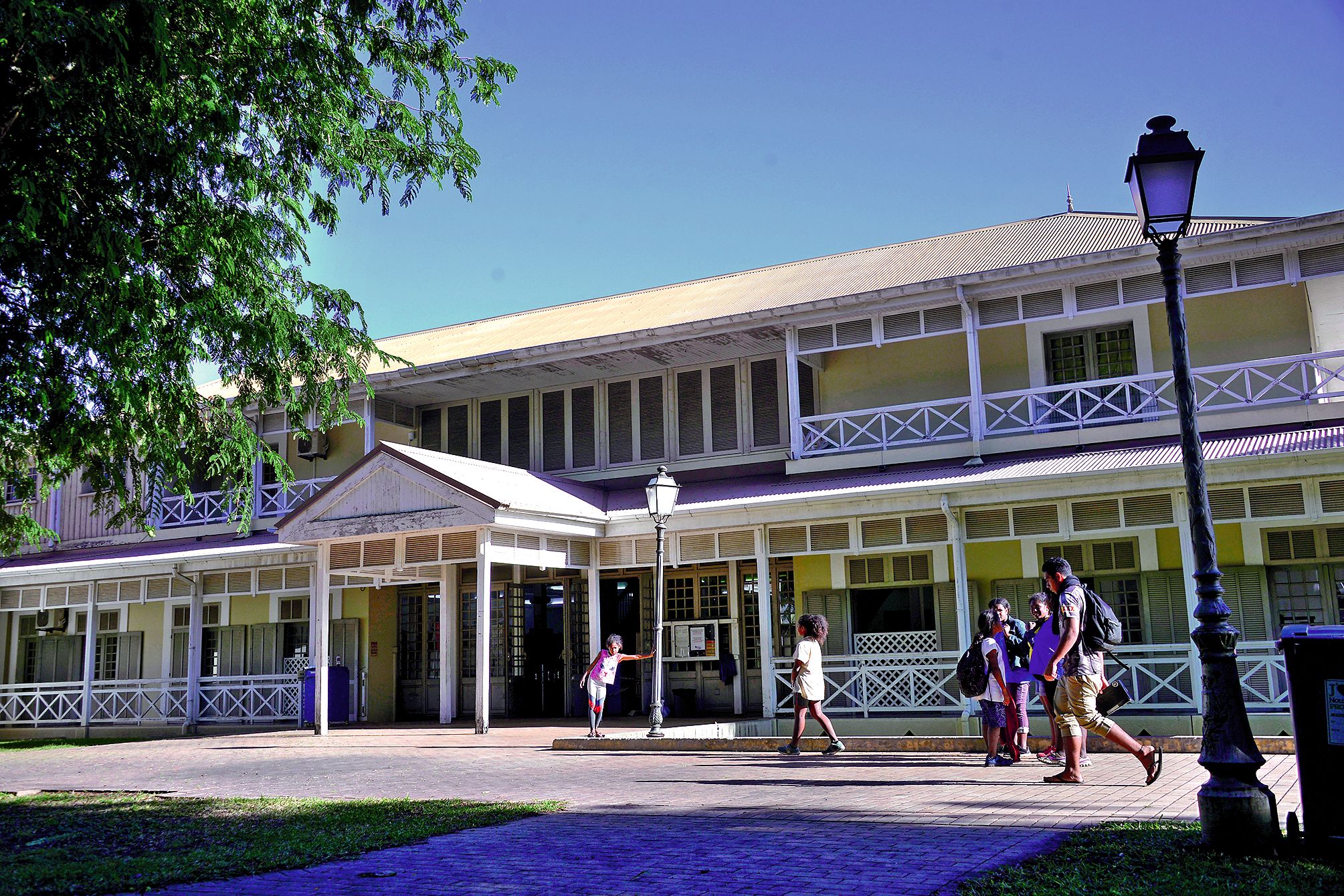 La bibliothèque Bernheim imagine un bâtiment à la hauteur de ses