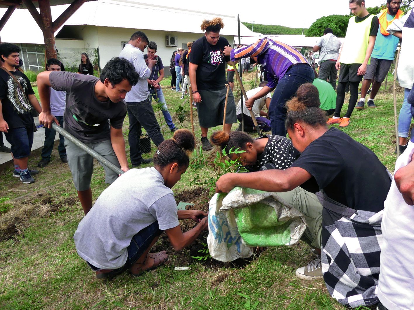 Quelque 600 élèves ont mis en terre 200 arbres de forêt sèche avec Caledoclean. Photo S.B