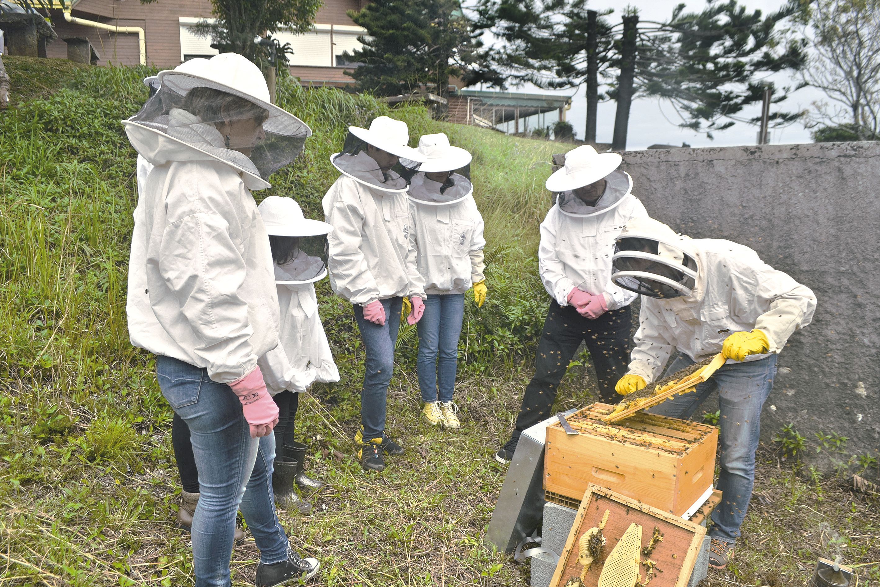 Samedi, à l’Auberge du Mont-Koghi, les parrains ont découvert le fonctionnement d’une ruche et les différentes pratiques de l’apiculteur.Photo A.P