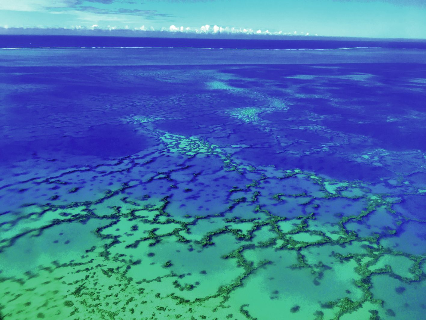 Située dans le plus grand océan du monde, la biodiversité océanienne est aussi riche en mer que sur terre. Photo A.T.