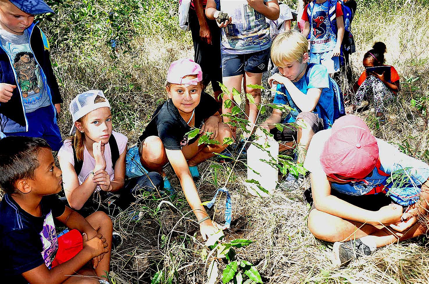 Yoan Mataloue, éducateur au Centre d’initiation à l’environnement (CIE), a proposé aux enfants la plantation d’un arbre - Olea paniculata - de forêt sèche mais également de forêt humide.