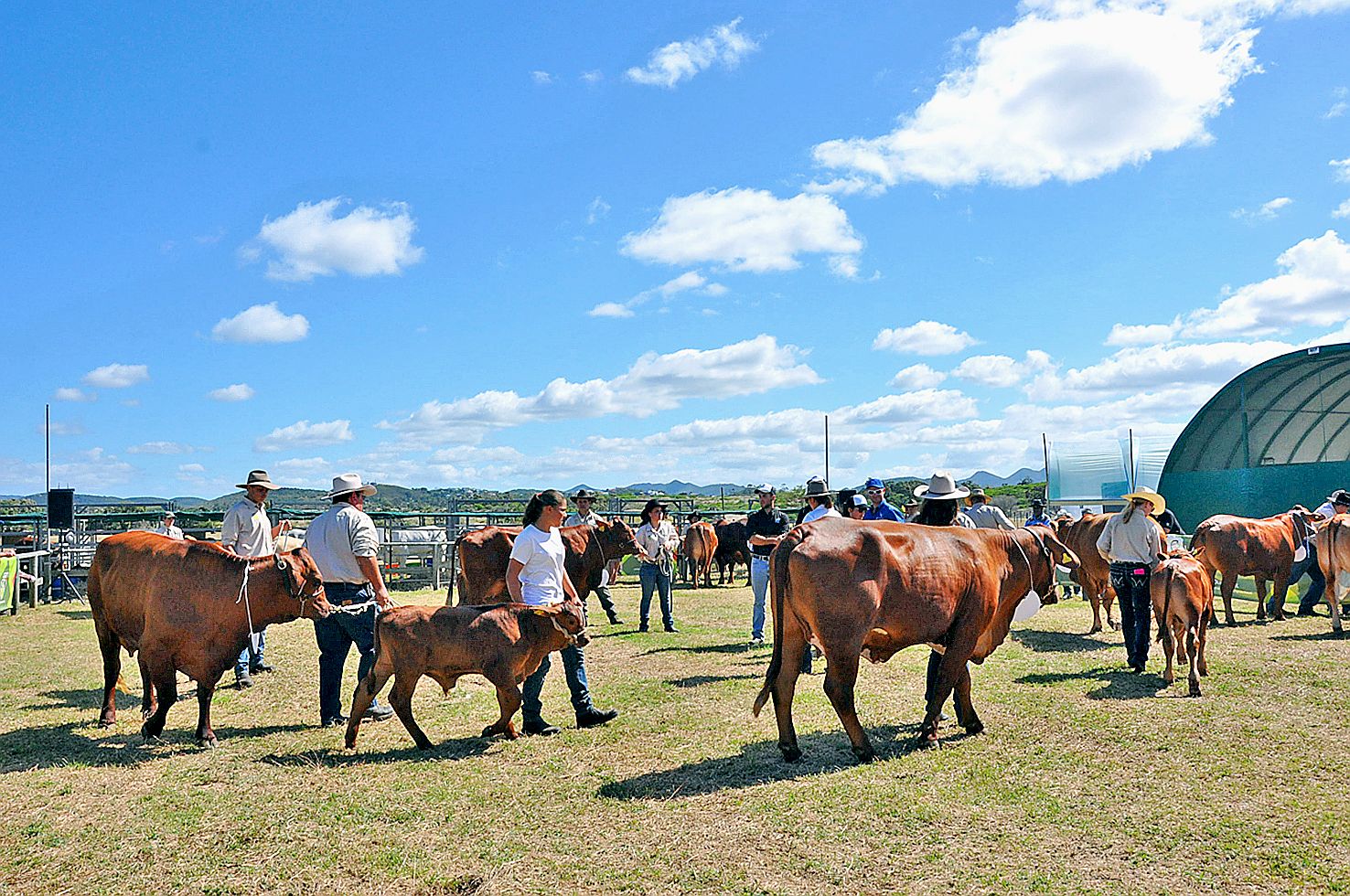 Plusieurs concours animaliers vont animer ce grand rendez-vous agricole.