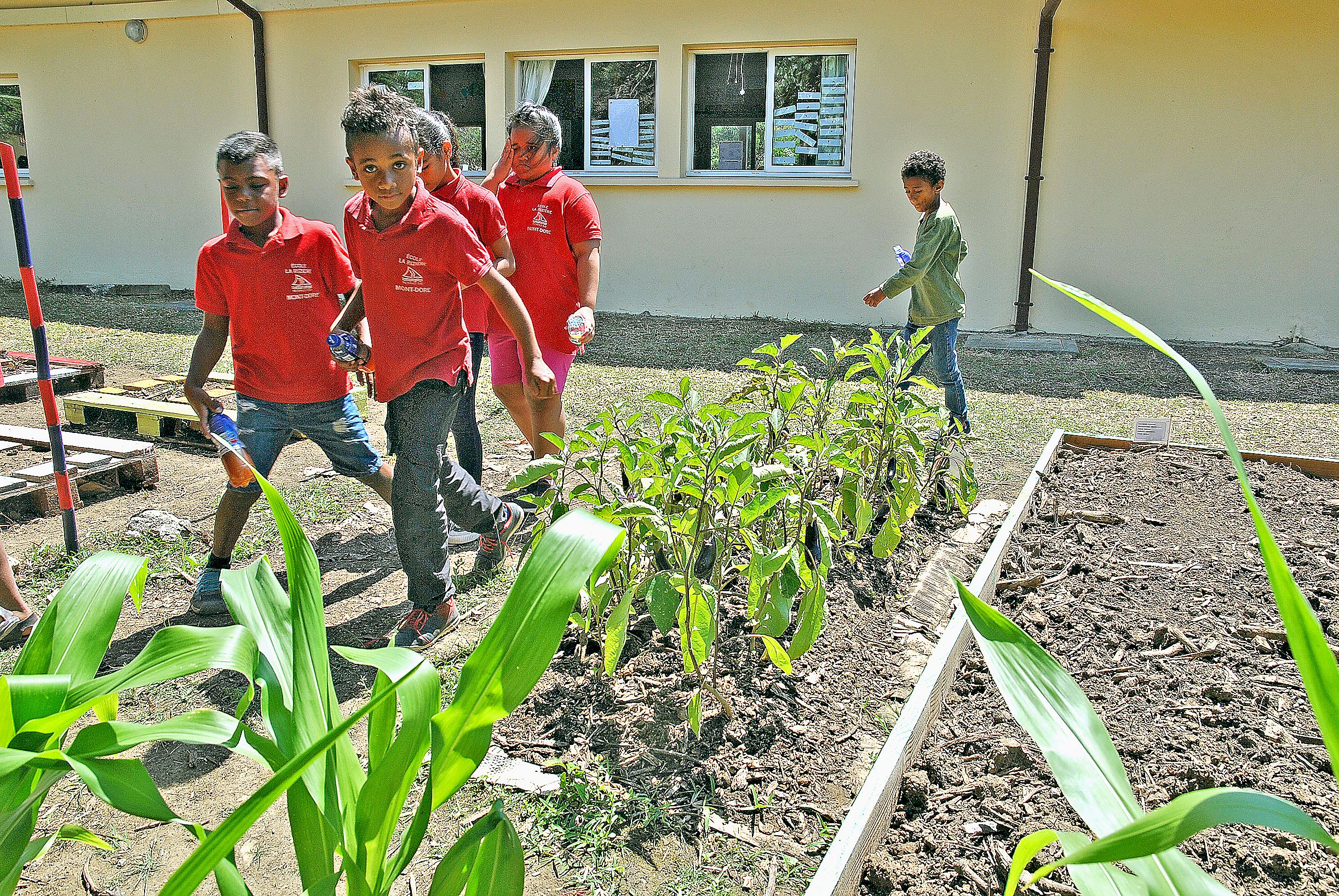 A tour de rôle et par petits groupes, les douze élèves invités des écoles de Plum, de La Rizière et de La Briqueterie ont fait le tour de l’école pour aller découvrir son jardin pédagogique. Ici devant des pieds d’aubergines, ils ont également pu apprécie