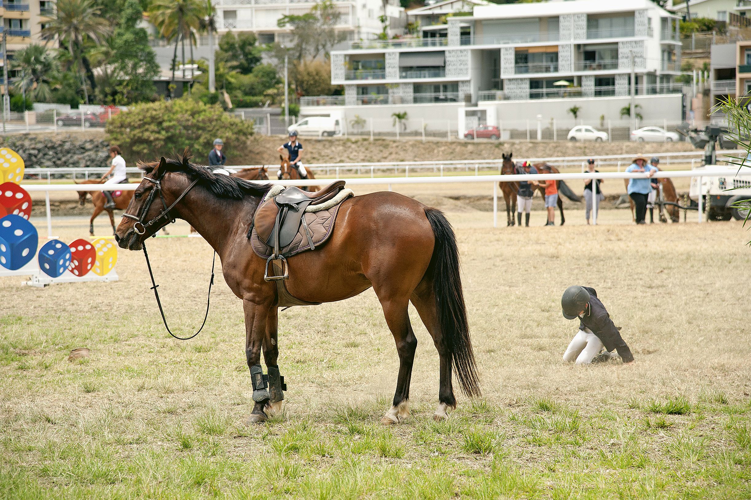 Les chutes font malheureusement partie du lot. Pas de casse pour ce jeune cavalier qui est de suite remonté en selle. 