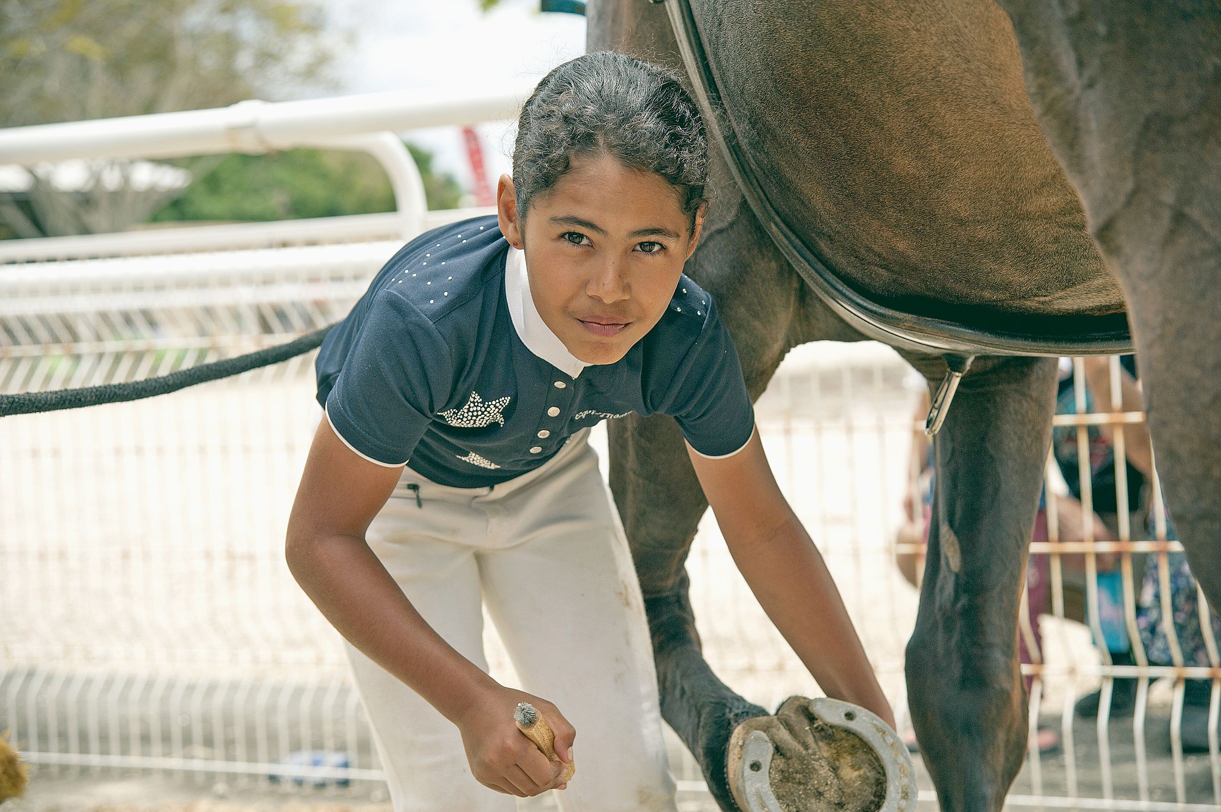 Les montures sont bichonnées pour être dans les meilleures conditions et faire un sans-faute. 