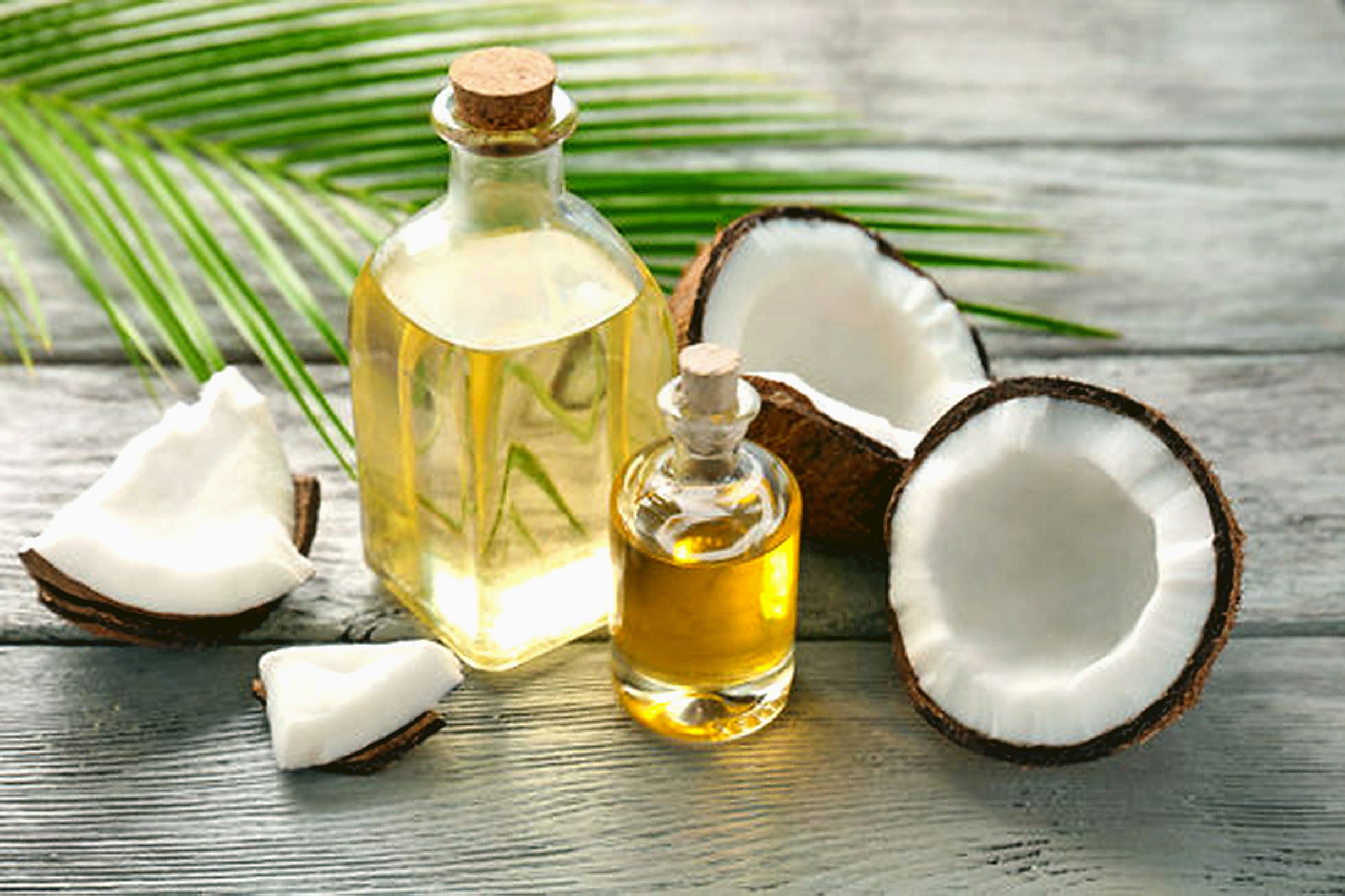 Le cocotier, dont les produits dérivés sont très en vogue, a tous les atouts pour offrir de belles opportunités économiques. Photo Tahiti Infos