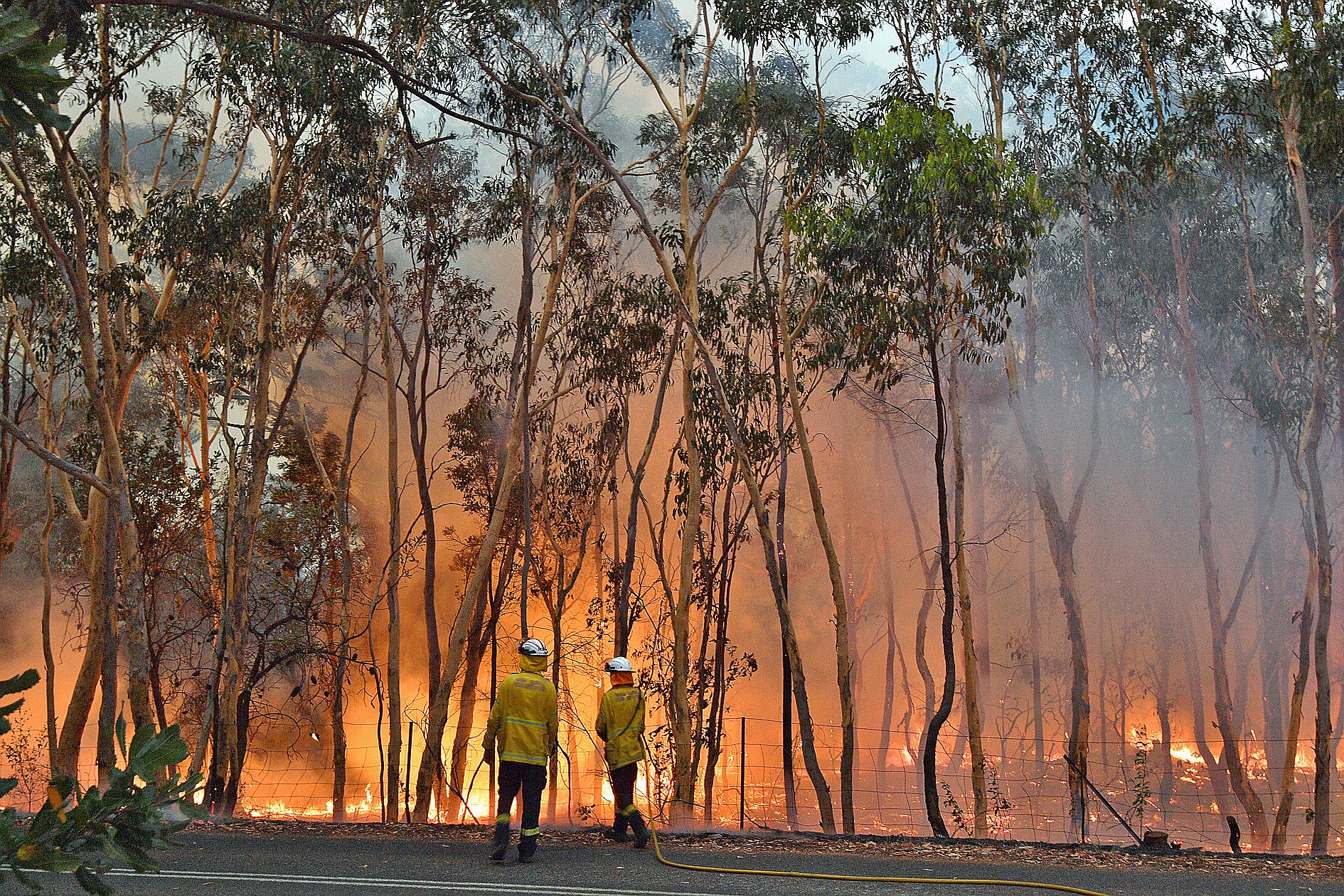 Des incendies fusionnent en « mégafeu » près de Sydney ...