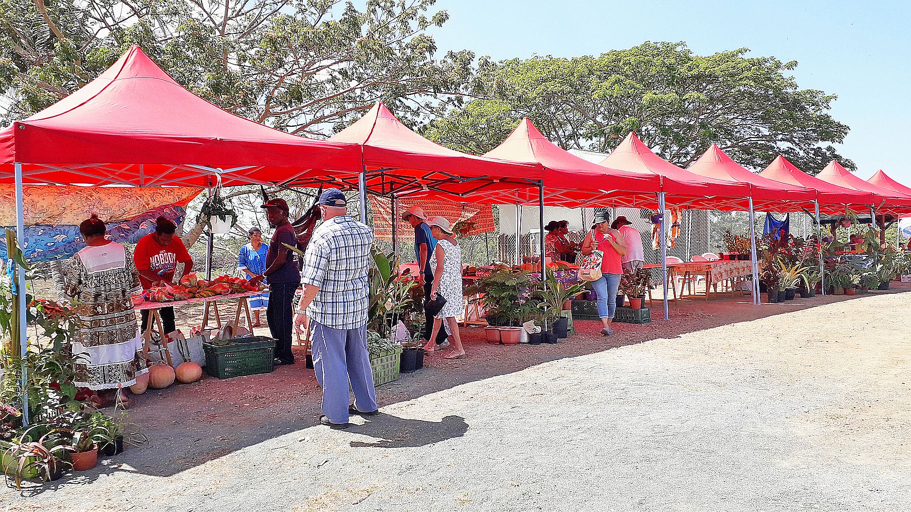 Le marché de La Foa a été délocalisé au parc Soury-Lavergne. Il a permis aux visiteurs de trouver de belles plantes, des fruits et légumes de saison, des milkshakes au lait frais avec la ferme laitière de Sarraméa, mais aussi de bons petits plats. Les enf