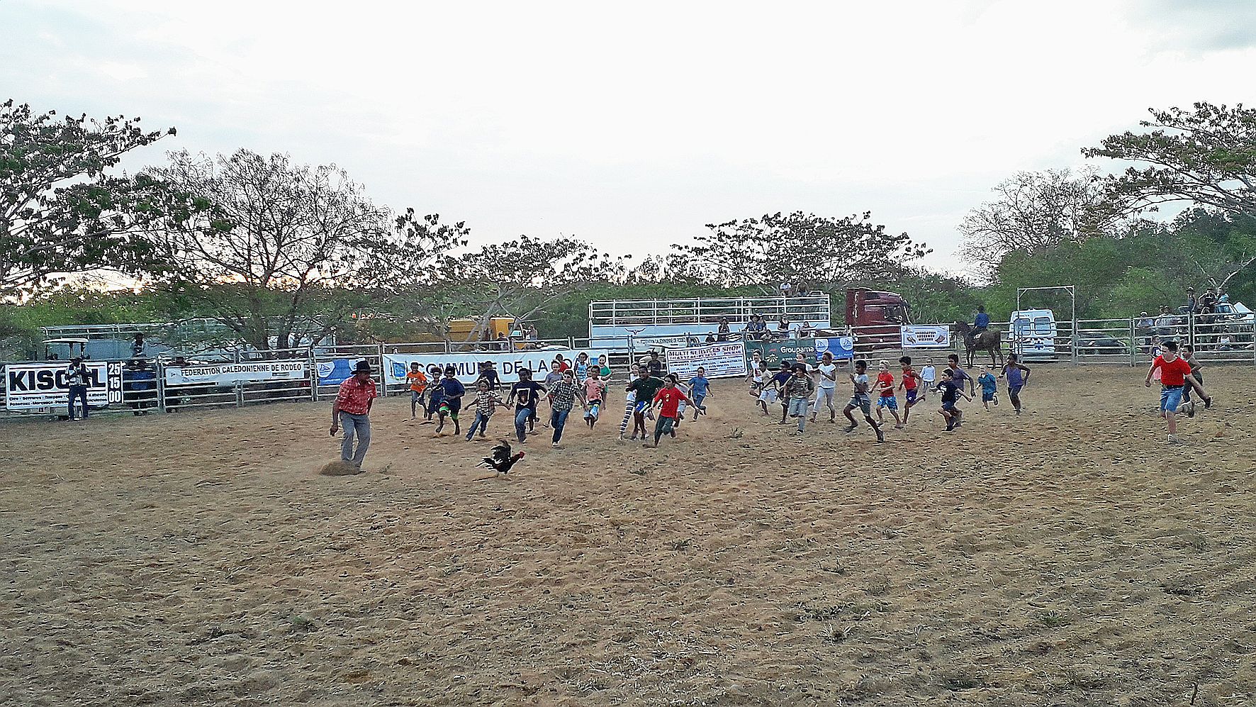 Les lâchers de coqs et de porcelet ont eu du succès. Les « rodeokids » ont aussi fait leur show sur veaux âgés de 3 à 6 mois.