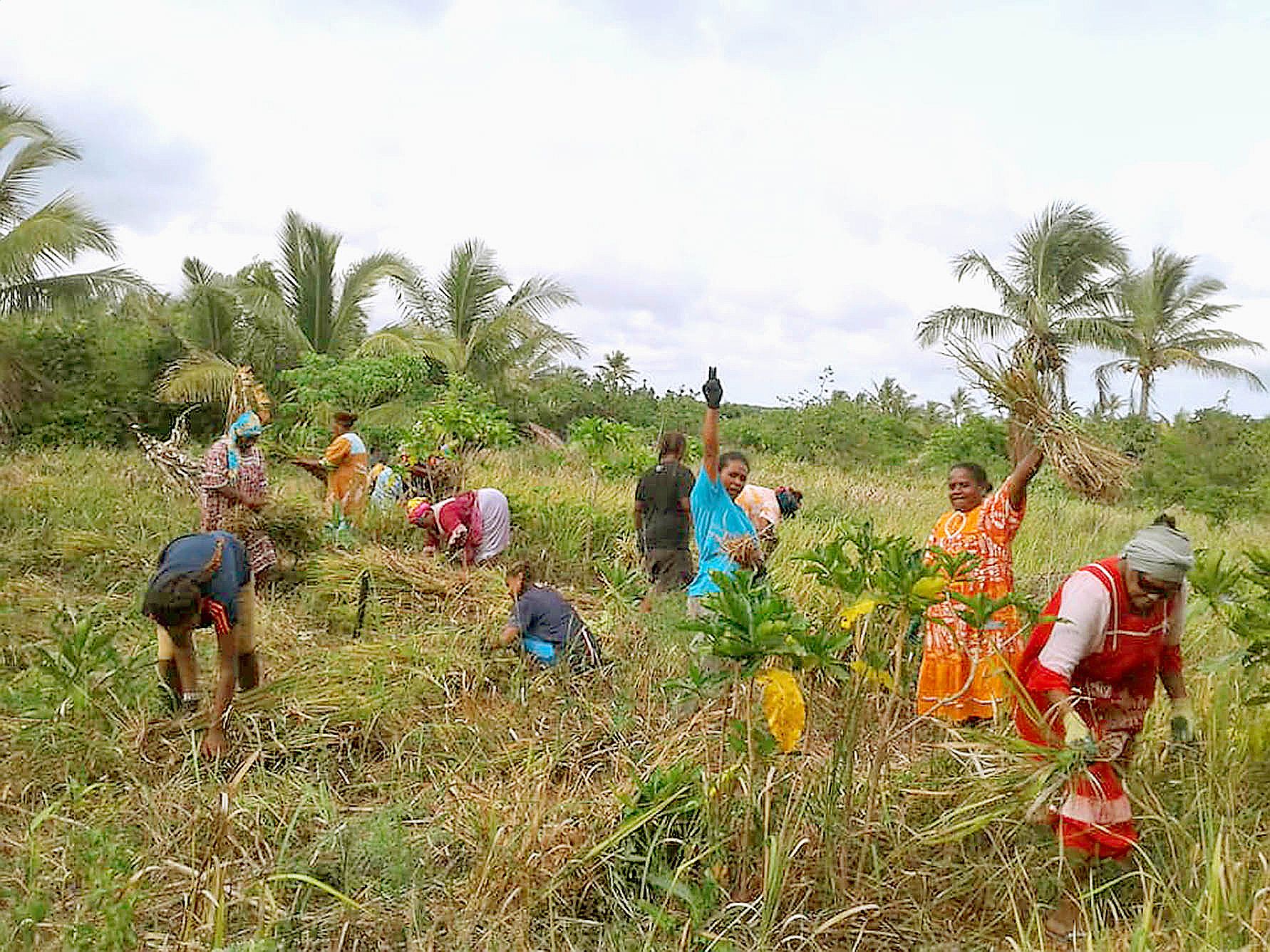 Les femmes et les jeunes filles n’ont pas chômé non plus en allant chercher la paille destinée à couvrir la case.
