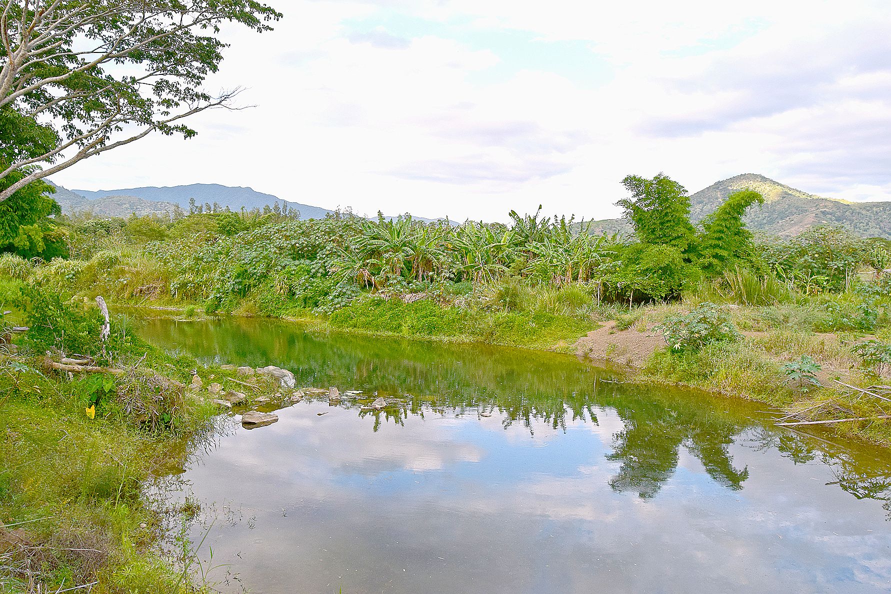 La propriété, d’une superficie de 27 hectares, se situe en bordure de la rivière La Foa.