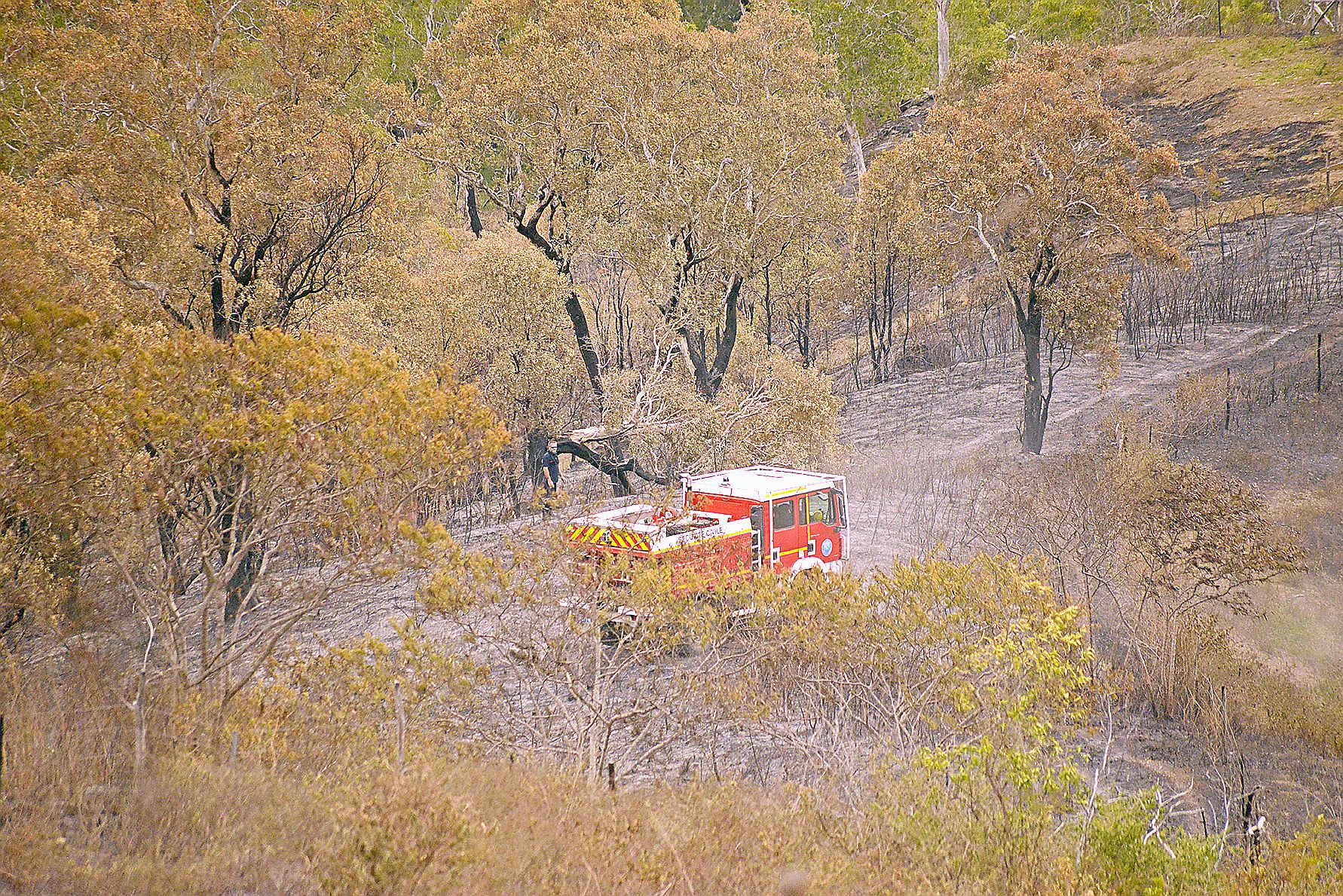Difficilement visibles depuis les routes, les véhicules sont répartis dans la végétation afin d’empêcher toute reprise.