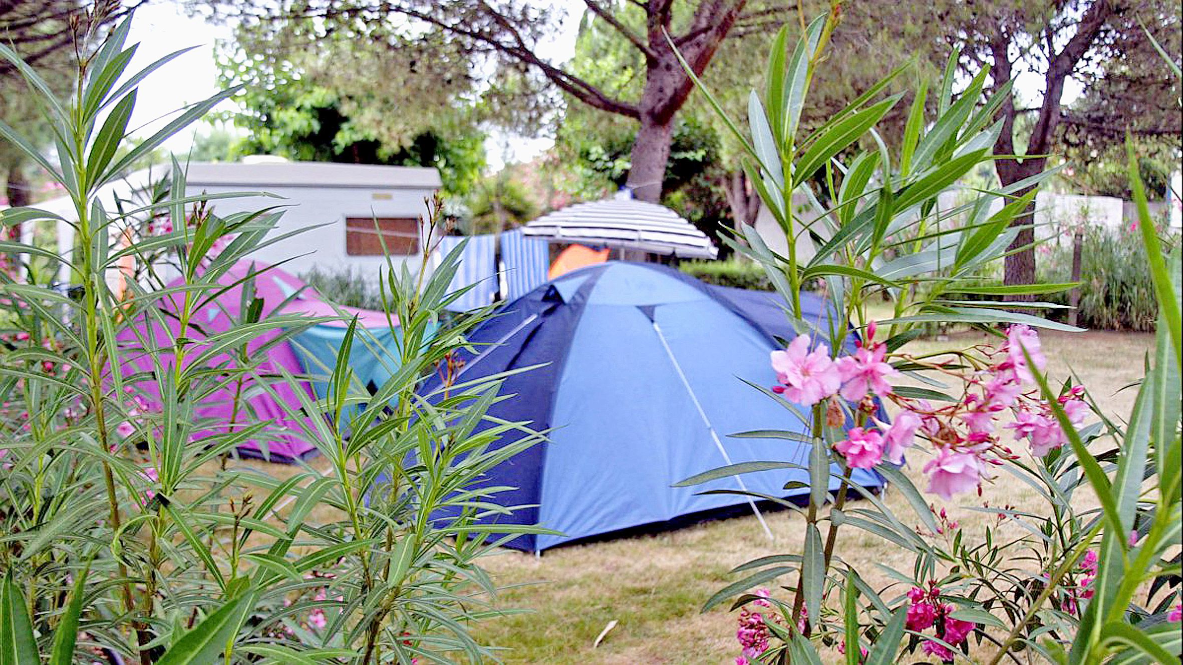 La question de la réouverture des campings se pose toujours,  tout comme celle des piscines.Photo AFP