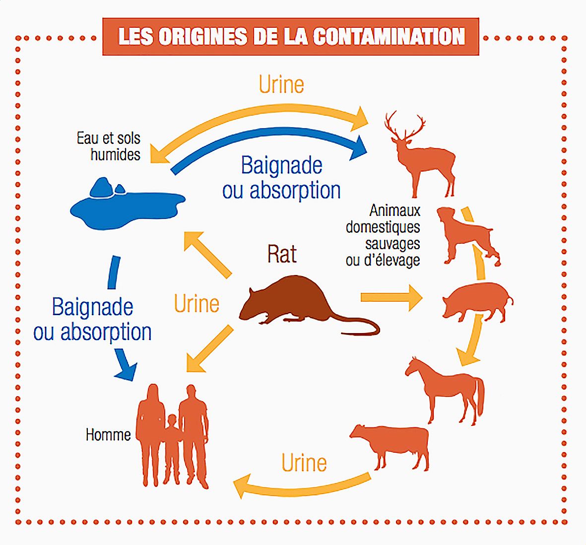 Source Direction des affaires sanitaires et sociales de Nouvelle-Calédonie