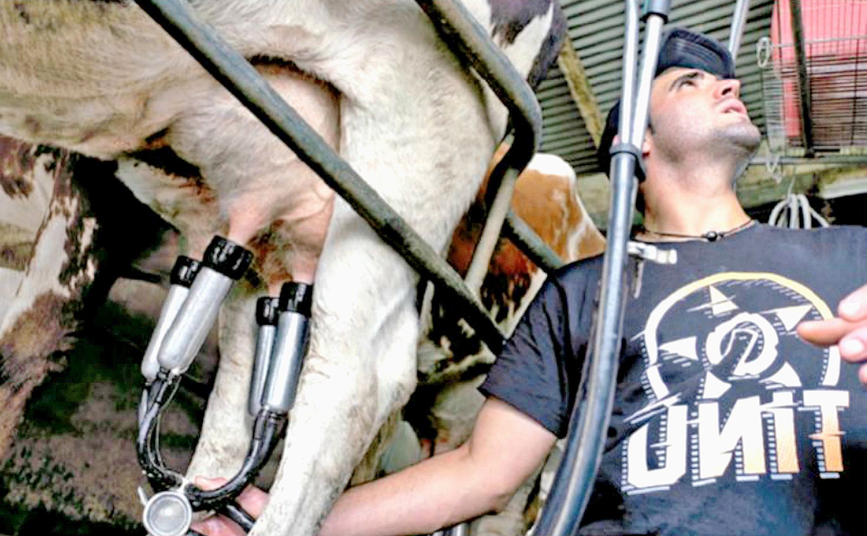 « C’est une passion depuis tout petit. J’adore élever des vaches et transformer le lait en fromage », affirme Bryan Moglia. Archives LNC