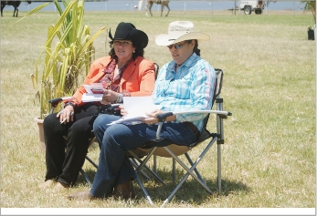 Les championnats d'équitation western ont été jugés par des spécialistes.