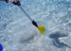 Le paddle, ou découvrir l'eau translucide sans déranger ses habitants.