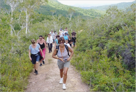 Balade botanique au grand air, écoute des cagous au petit matin : le week-end s'annonce nature aux Grandes Fougères.