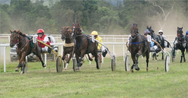 Drivée par Angélique Derudder, Nanou Française (N°6), tient le haut du pavé du trot attelé depuis maintenant deux ans.