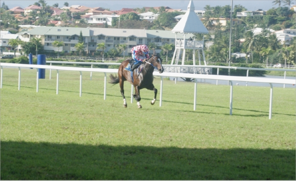 Seul au monde, Ivor Hill a mené le Grand Prix province Sud d'une manière magistrale, samedi à Henry-Milliard.