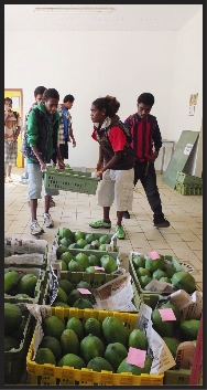 Les élèves du collège Laura-Boula ont planché sur la papaye : après l'avoir collectée, épluchée et cuisinée, ils l'ont dégustée.