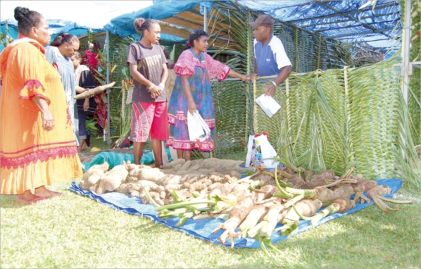 Le grand marché agricole de la fête communale permet à de nombreuses familles de Ponérihouen de s\'assurer un revenu conséquent chaque année.
